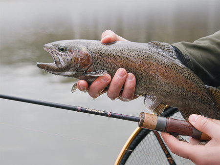 Delphin TROUTERA SoftLURE 180cm/0.5-6g/2 składy Delphin (101005781)