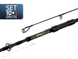 10+1 - Delphin STALX 300cm/3.25lbs/TeleFIX Delphin (101006420)