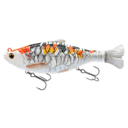 3D HARD PULSETAIL ROACH 13.5CM 40G SLOW SINKING KOI CARP Savage Gear (73975)