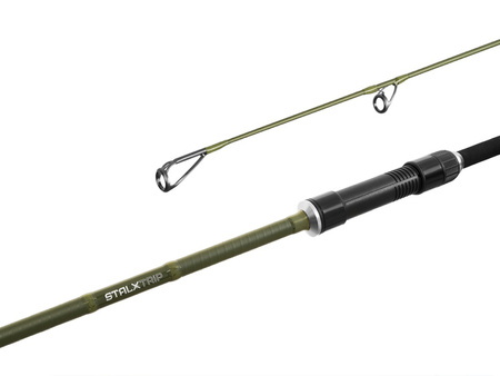 Delphin STALX Trip 8ft/2,5lbs/2 składy Delphin (101004510)