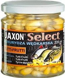 KUKURYDZA SELECT 220ML TUTTI-FRUTTI JAXON FJ-SK04