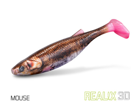 DuoPACK BOX Delphin Realix 3D / 6 x 2szt 13cm / Trout Delphin (101005624)