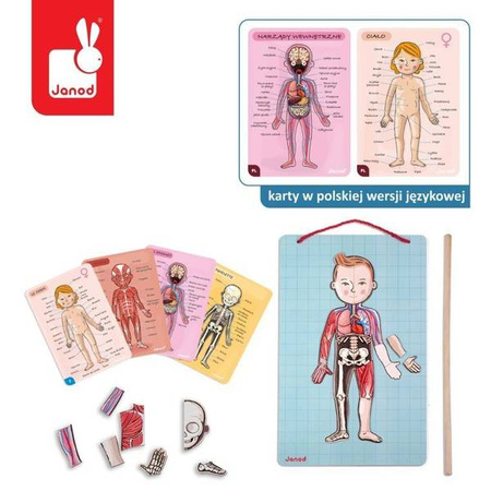 Układanka magnetyczna Ciało człowieka, Janod