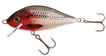 WOBLER HS KARAŚ 6 F RB JAXON VJ-KA6FRB