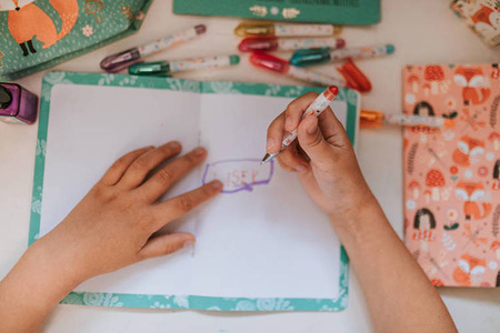 Zestaw 2 miękkich notesów Lisek + Jednorożec 7+, opakowanie zbiorcze 8 sztuk (4 szt. + 4 szt.), Janod