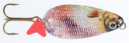 BŁYSKOTKA WAHADŁÓWKA JAXON HS KARAŚ SCOT 2 E 5X1SZT JAXON BW-JKB2E