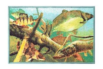 Wycieraczka Delphin AQUA 60x40cm Delphin (795000301)
