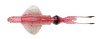 SWIM SQUID RTF 25CM 160GR S PINK GLOW Savage Gear (78162)