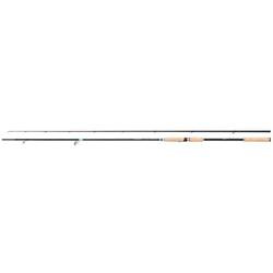 Wędka Technium Sea Trout Spinning 3,05m 10-35g 2 cz. Shimano (TECHSTAX100M)