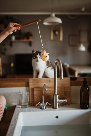 Zestaw do wędkowania w kąpieli 2+, Janod