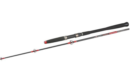 CAT TERRITORY TROLL&SPIN 210 50-180 g MIKADO WAA597-210