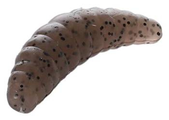 PRZYNĘTA - M-AREA MAGGOT- 34mm/PELLET - op.16szt. MIKADO PMMA-34-PE