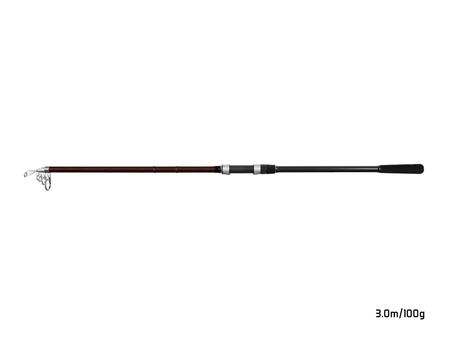 10+1 - Delphin THUNDER GenerationX 300cm/100g Delphin (101006431)