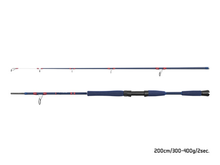 Delphin FYORD BigBOAT 220cm/300-400g/2składy Delphin (101005780)