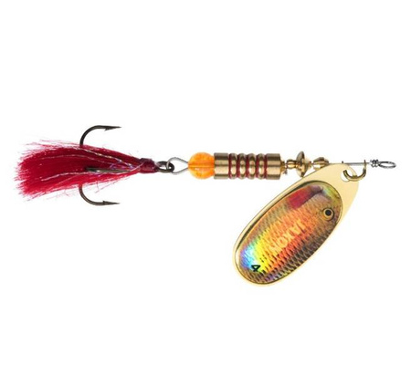 BLACHA, BŁYSTKA OBROTOWA HS KABOS 1 B 5X1SZT JAXON BO-JXE1B