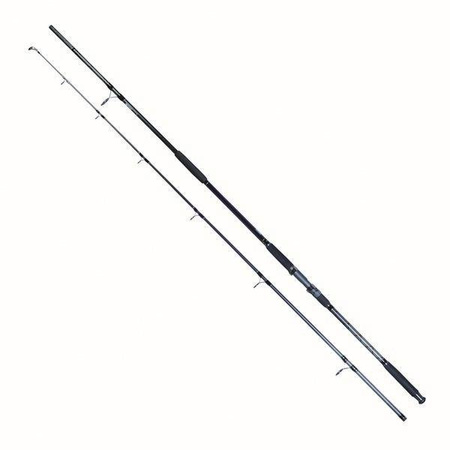 Wędka Tritium Cat Fish Cast 3,30m /2 sec /100-350g Robinson 11T-CF-331