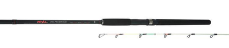 RIVAL SEA PICKER 240 c.w. up to 250 g MIKADO WAA814-240