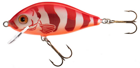 WOBLER HS KARAŚ 11 F RE JAXON VJ-KA11FRE