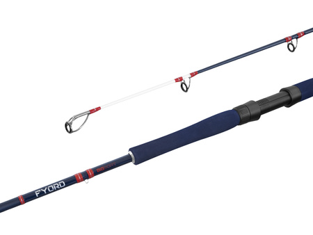 Delphin FYORD BigBOAT 220cm/300-400g/2składy Delphin (101005780)