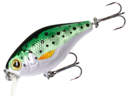 WOBLER - FISHUNTER BOLD HEAD - 4cm/RAINBOW TROUT - PŁYWAJĄCY - op.1szt. MIKADO PWF-BH-4F-RT