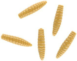 PRZYNĘTA TROUT CAMPIONE FAT GRUB 2.6 cm / BEIGE - op.8szt. MIKADO PMTC-FG2.6-BE