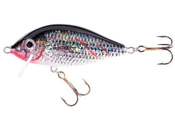 WOBLER SZCZUPAKOWY HS KARAŚ SW 9 F SLY JAXON VJ-KB09FSLY