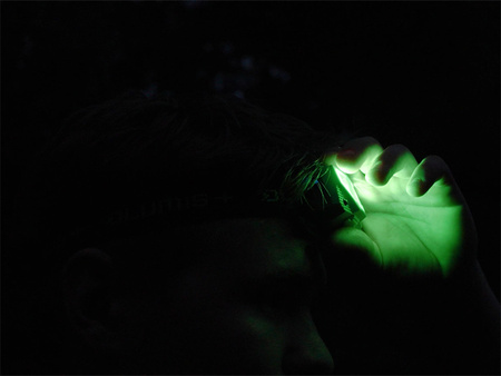 Latarka czołowa Delphin LUMIS  Delphin (101004666)