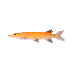 3D LINE THRU PIKE 30CM 210G ALBINO PIKE Savage Gear (50433)