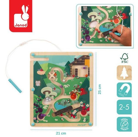Magnetyczny labirynt Las, Janod