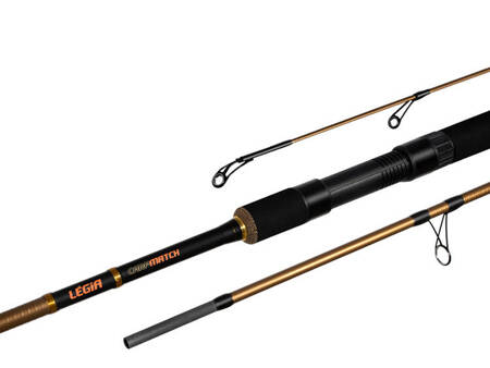 Delphin LEGIA CarpMATCH 330cm/75g/3 składy Delphin (101003233)