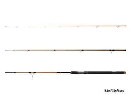 Delphin LEGIA CarpMATCH 330cm/75g/3 składy Delphin (101003233)