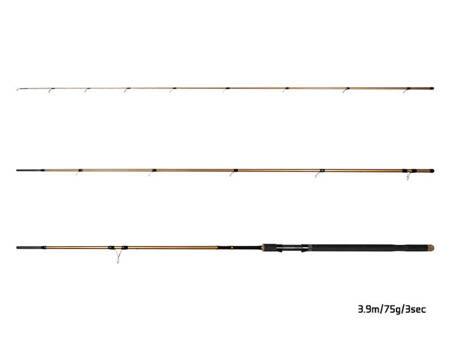 Delphin LEGIA CarpMATCH 330cm/75g/3 składy Delphin (101003233)