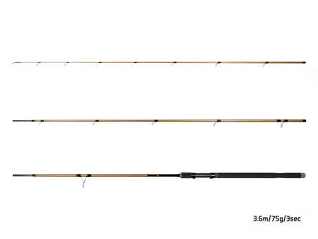 Delphin LEGIA CarpMATCH 390cm/75g/3 składy Delphin (101003235)